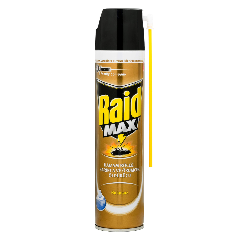 Raid Böcek Savar Max 300 ml - 1